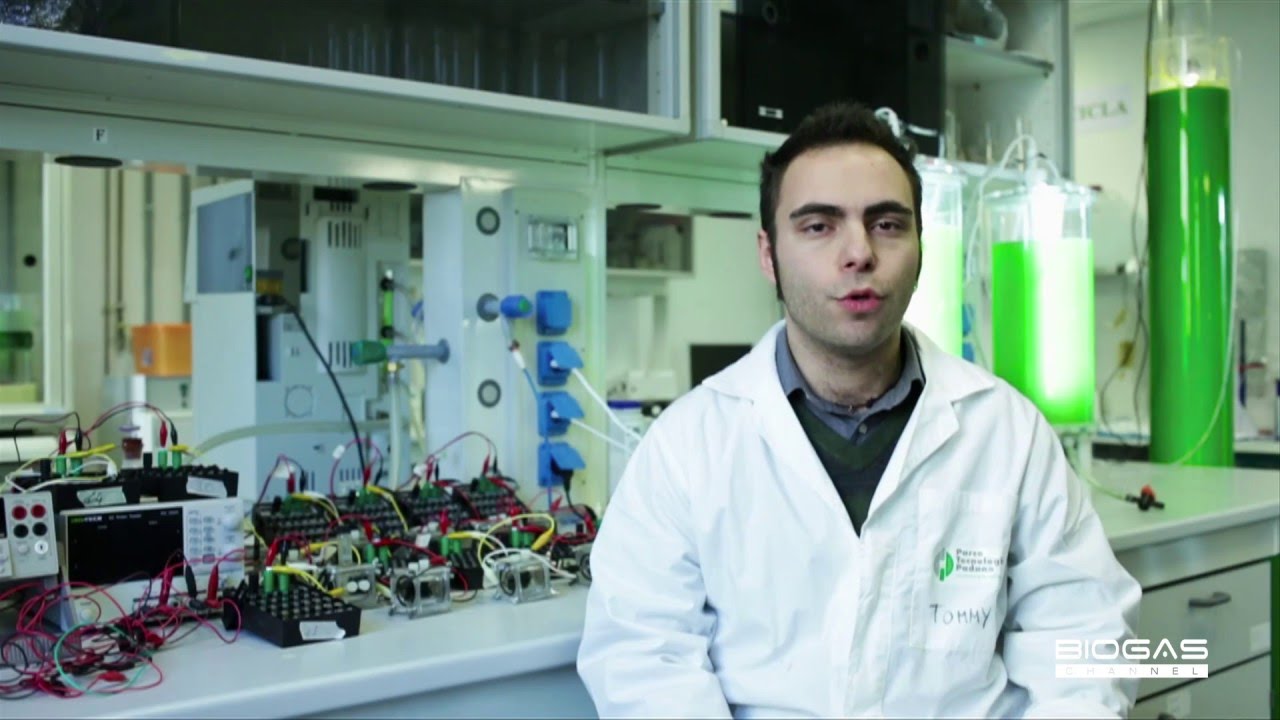 Celle a combustibile: l'elettricit&agrave; dai batteri - English subtitles