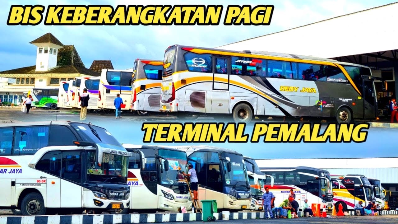 Part 2 | HUNTING BIS PAGI HARI DI TERMINAL INDUK KOTA PEMALANG