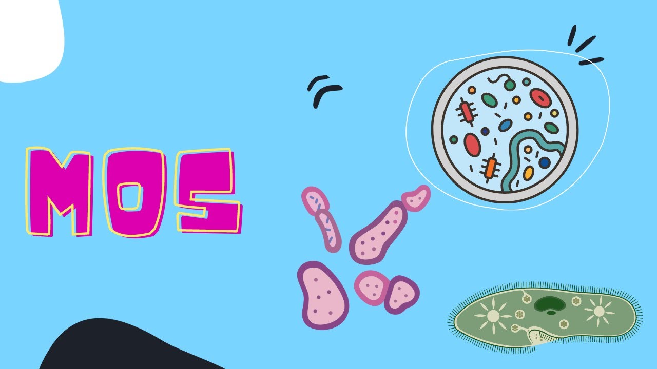 Microorganisms and disease Grade 9 Biology Unit 4 Part 1