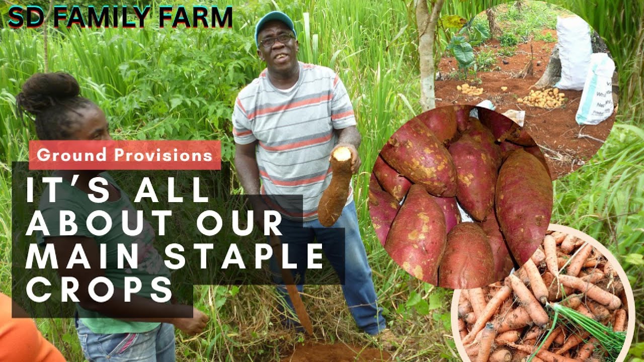 SD Family Farm Grounds Provisions