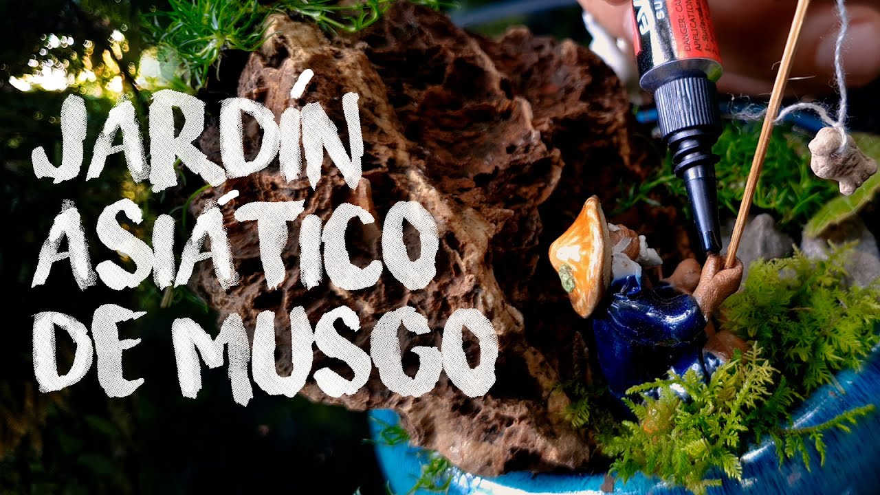 Jardincito Asiático de Musgo DIY | Finca Dracula