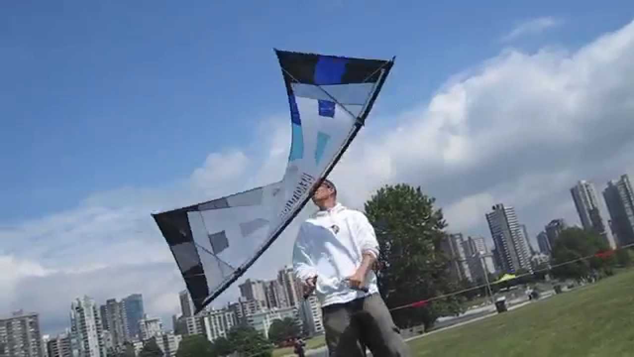 2011 Dogstake at Vanier Park (Revolution Quad Line Stunt Kite)