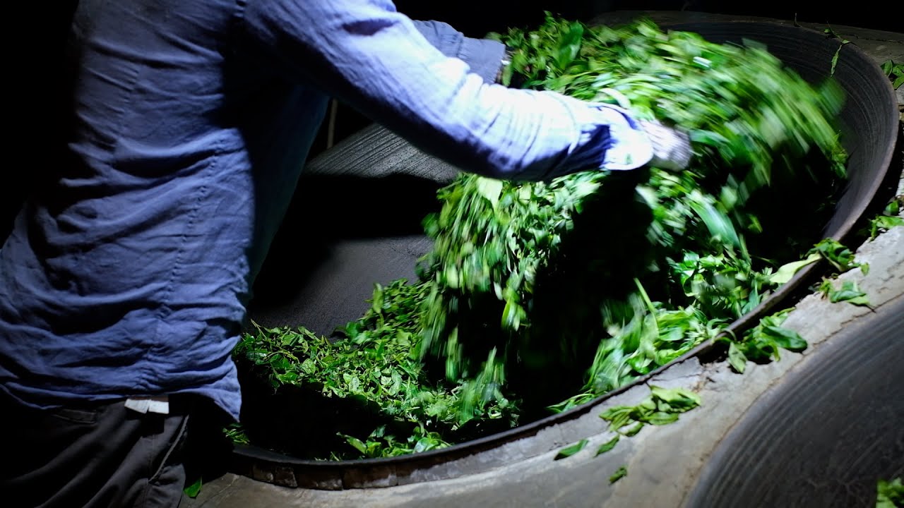 The most expensive batch of the year