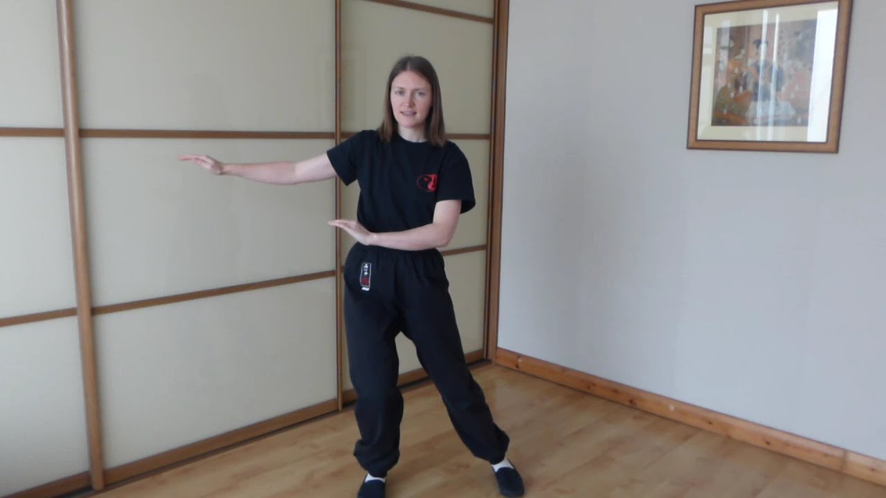 Li Style Tai Chi Form moves 109-110: Brush Knee and Side Step