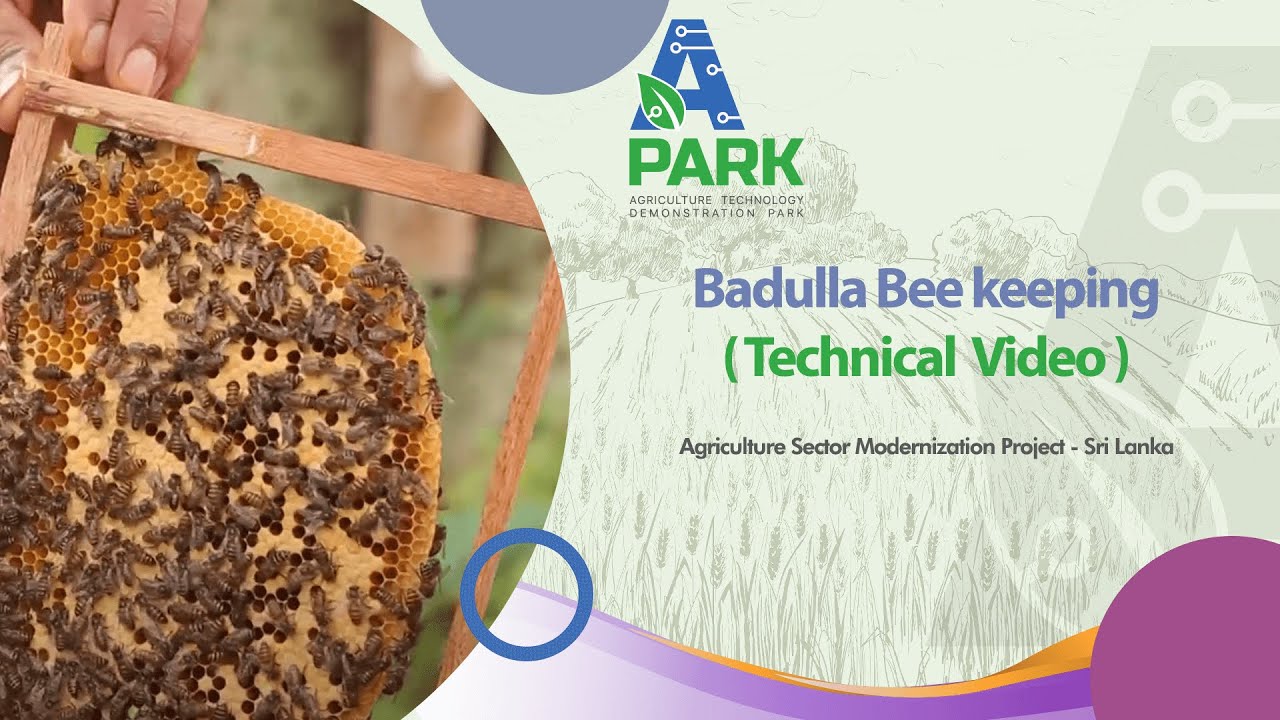 Badulla Bee keeping