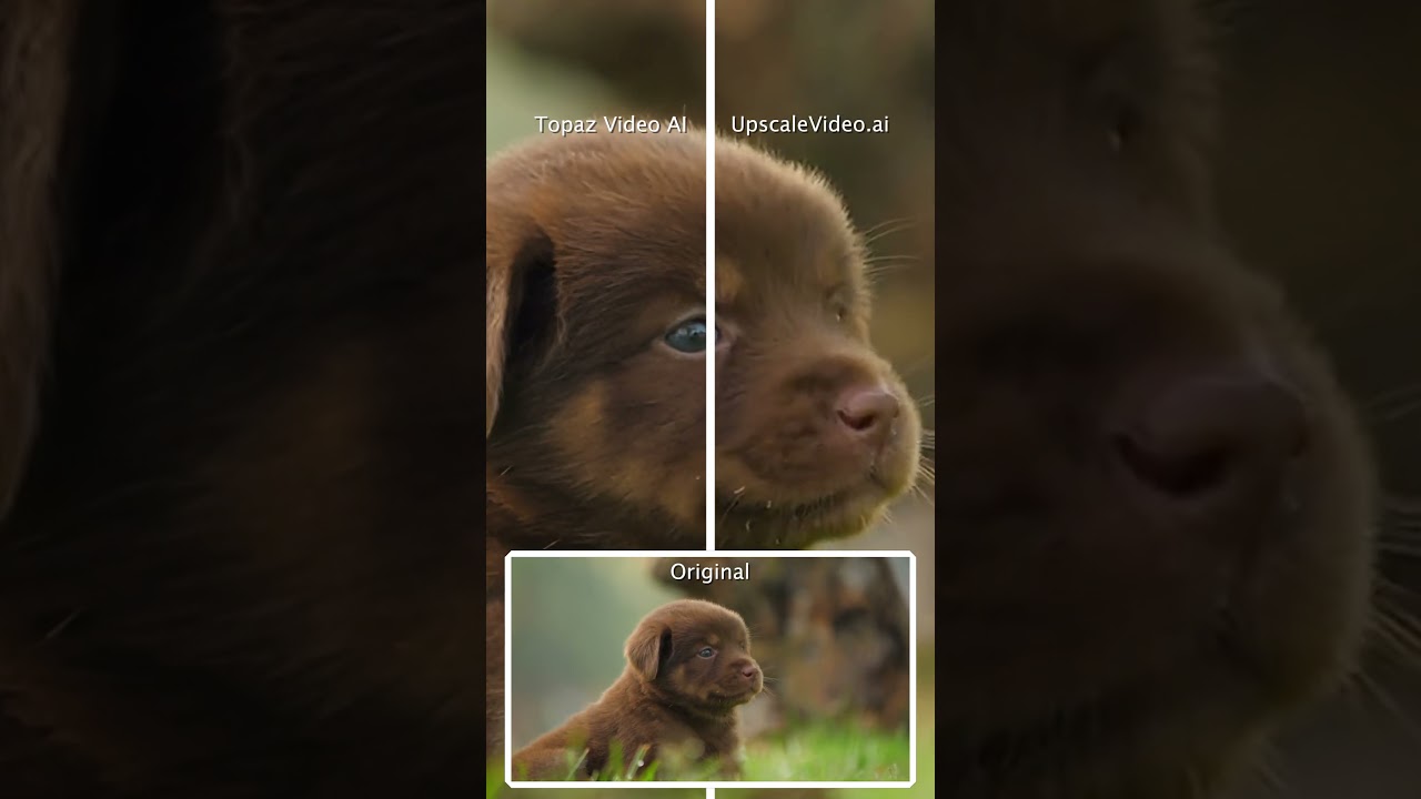 Topaz Video AI 6.0.3 vs UpscaleVideo.ai 1.11 - 2x super resolution, de-noise, sharpen #vfx