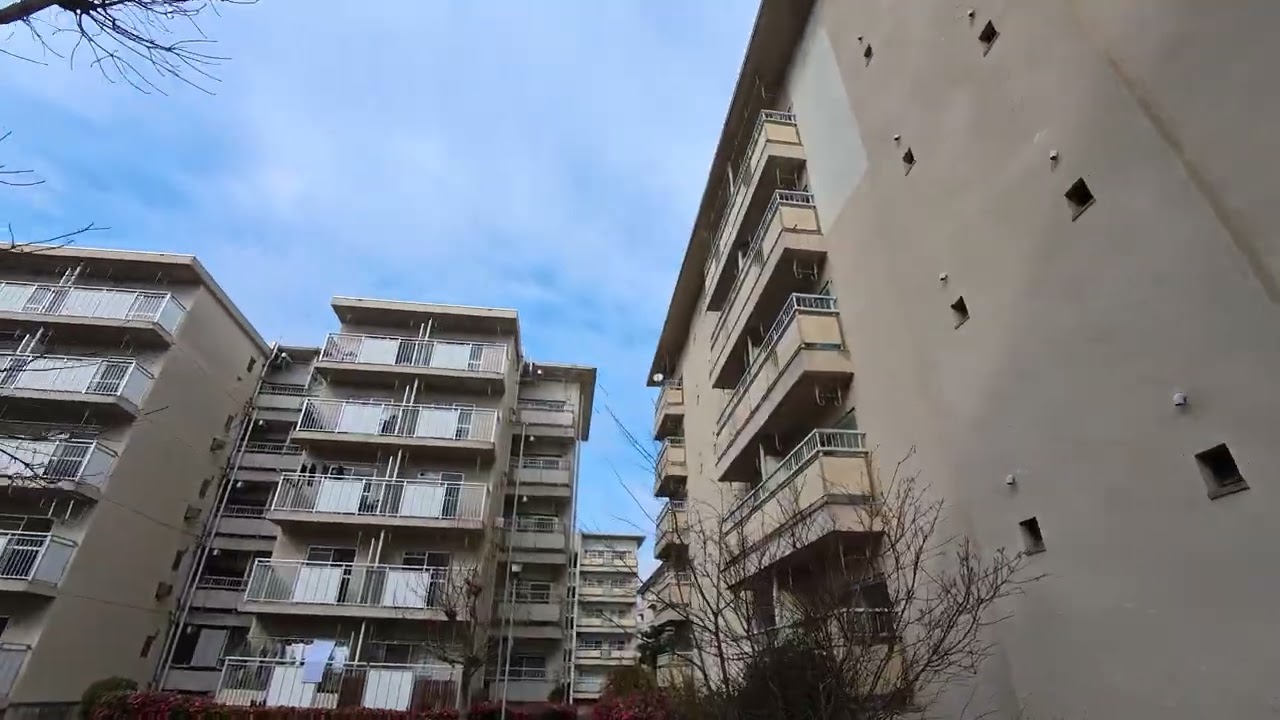 VID 20260205 142112 00 009