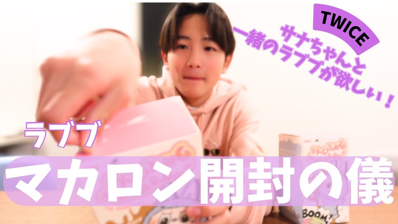 ラブブマカロン開封の儀　TWICEサナちゃんと一緒のラブブが欲しい！　#twice #ラブブ#中学生男子