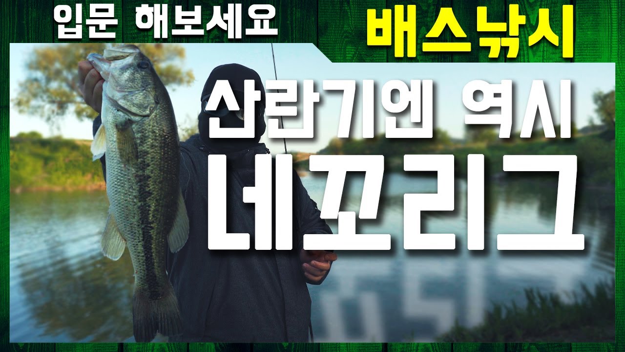 배스 산란기에는 네꼬리그｜입문 해보세요 배스낚시-네꼬리그 [4k]