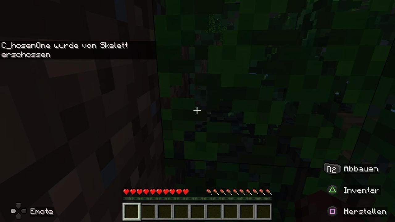 Minecraft_20260119171415