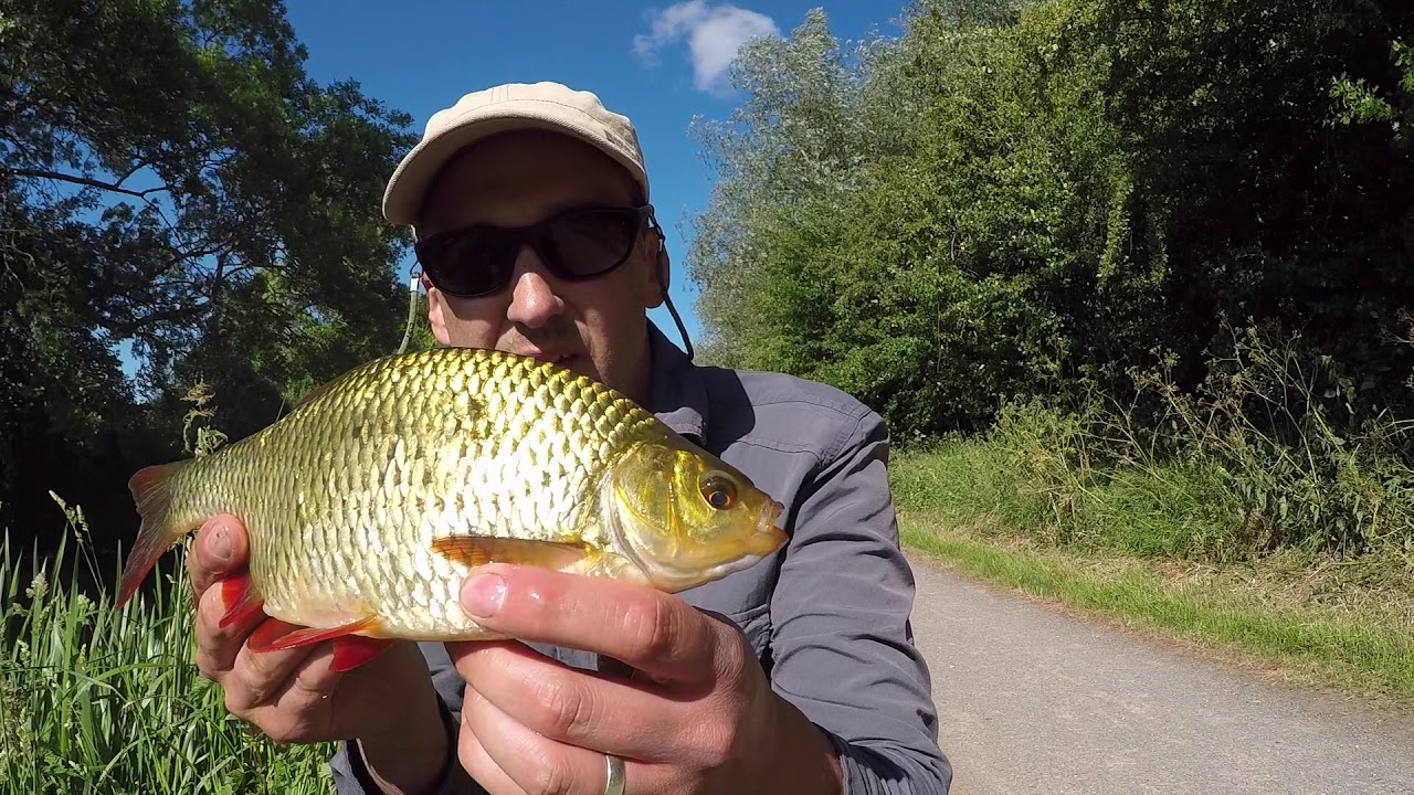 Dry fly fishing for rudd June 2020