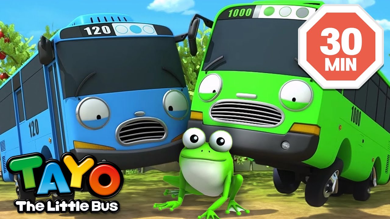 Ich war überrascht, einen ländlichen Frosch zu sehen! l Tayo Bus Deutsch folge l Tayo der Kleine Bus