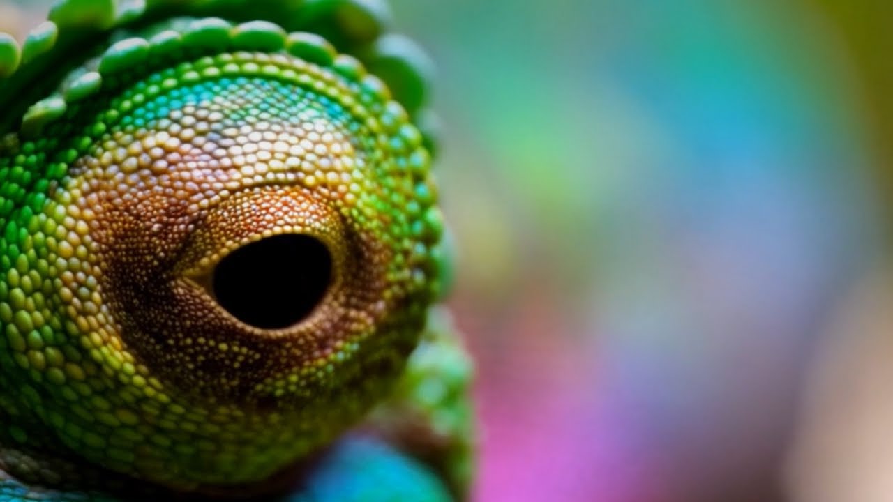 Nature Moves Fast, Don&rsquo;t Blink | #naturewonders #CloseUpNature