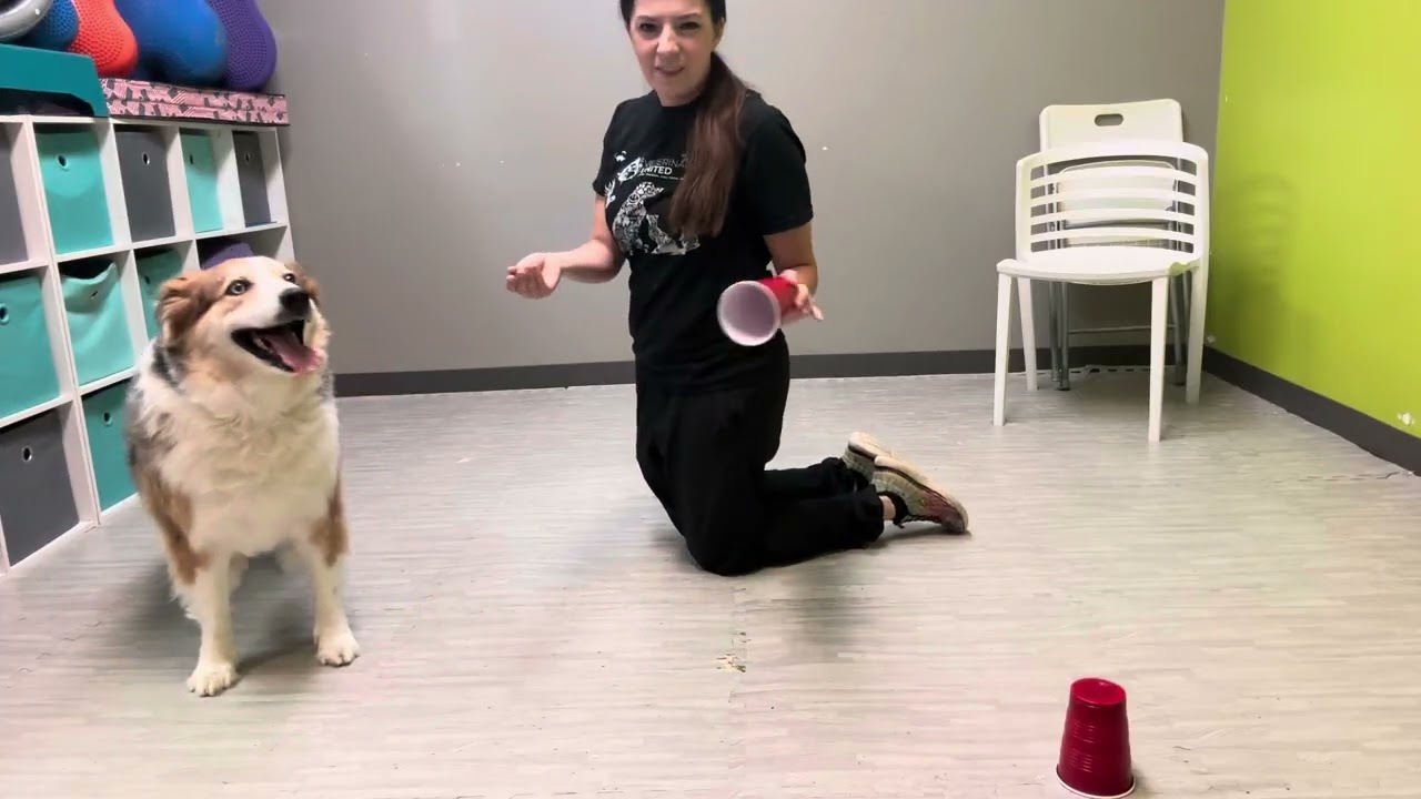Luna trick day