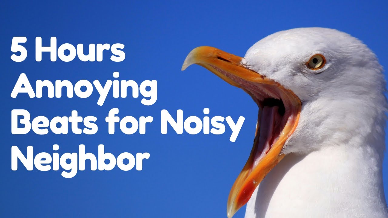 Track 9 - 5 Hours of Annoying Beats Compilation for Noisy Neighbors