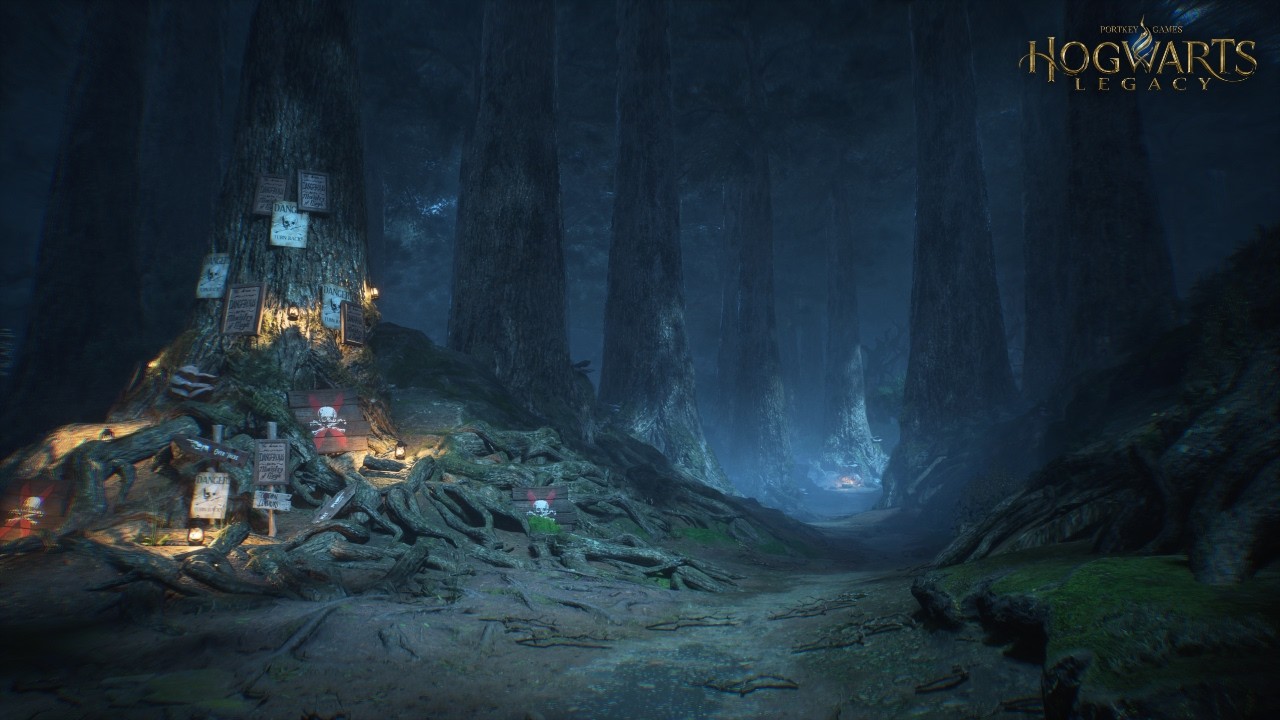Walking in the Forbidden Forest at Night (First-Person View)