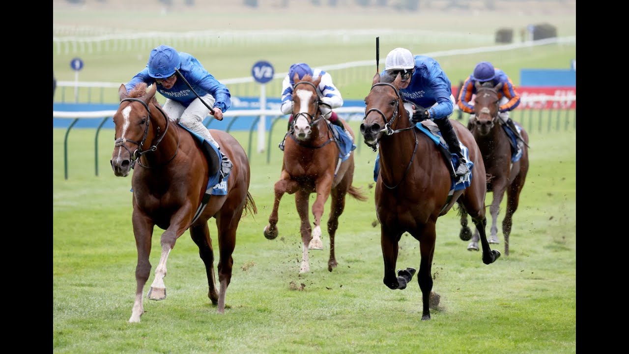 SHADOW OF LIGHT makes history for Charlie Appleby in the 2024 Dewhurst Stakes!