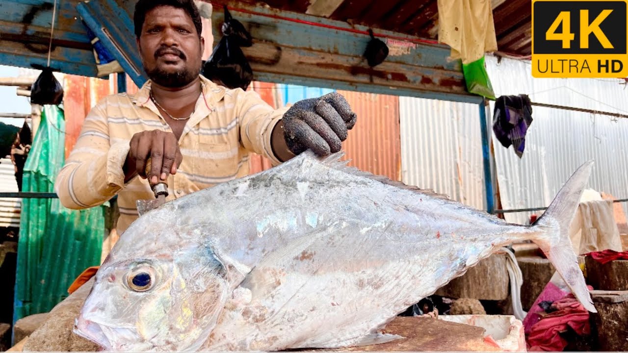 Kannadi Paarai fish cutting video/fishcuttingrs#fish #kasimedu #fishcuttingrs 