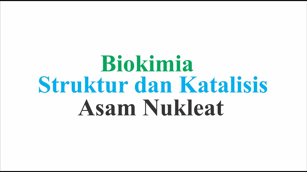 Biokimia - Asam Nukleat
