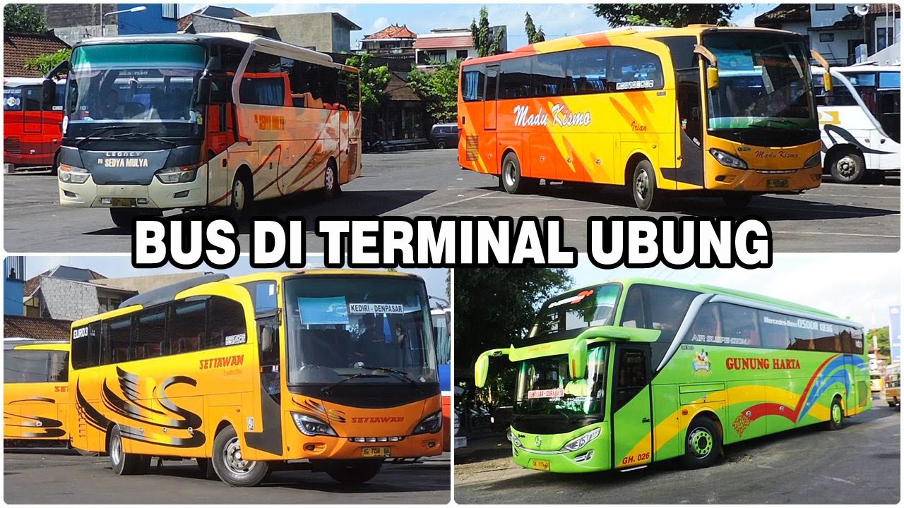 Aktivitas aneka Bus di Terminal Ubung, Denpasar, Bali