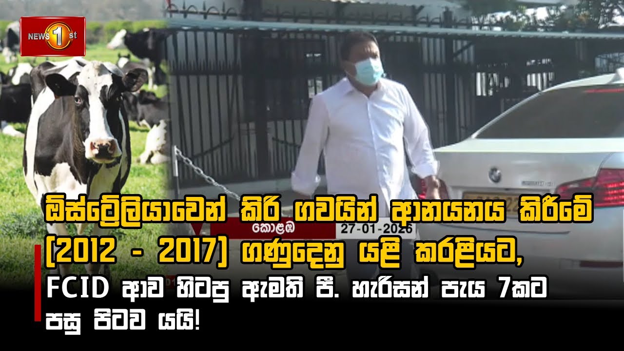 ඕස්ට්‍රේලියාවෙන් කිරි ගවයින් ආනයනය කිරීමේ (2012 - 2017) ගණුදෙනු යළි කරළියට,