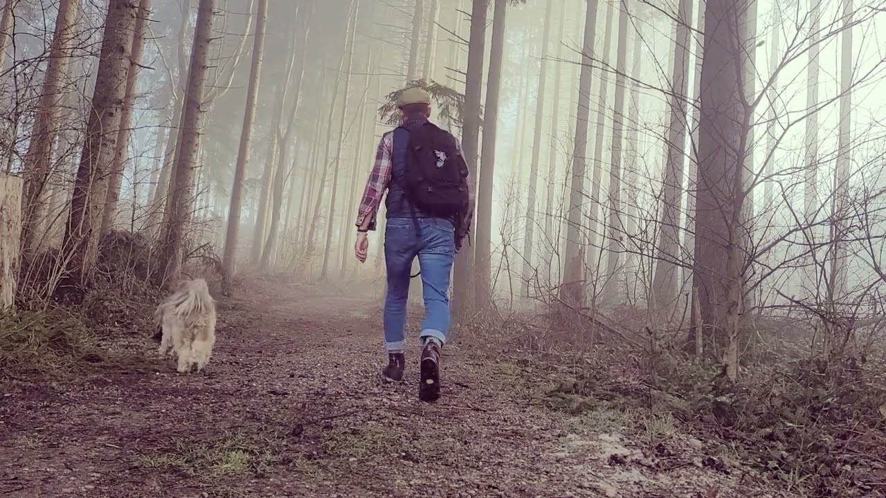 A walk in the woods looking for fatwood