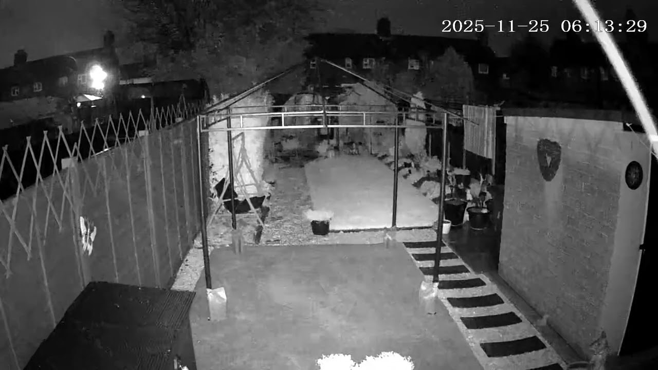 (25/11/2025) 6:11am HULL (Uk) BYC [0266]