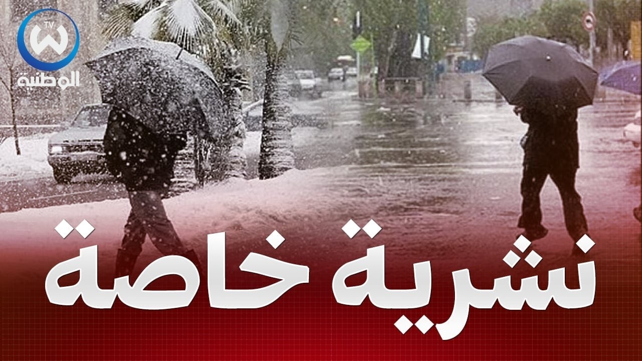 نشرية خاصة.. أمطار غزيرة وثلوج كثيفة مع رياح هوجاء ستمس عدة ولايات بداية من الجمعة