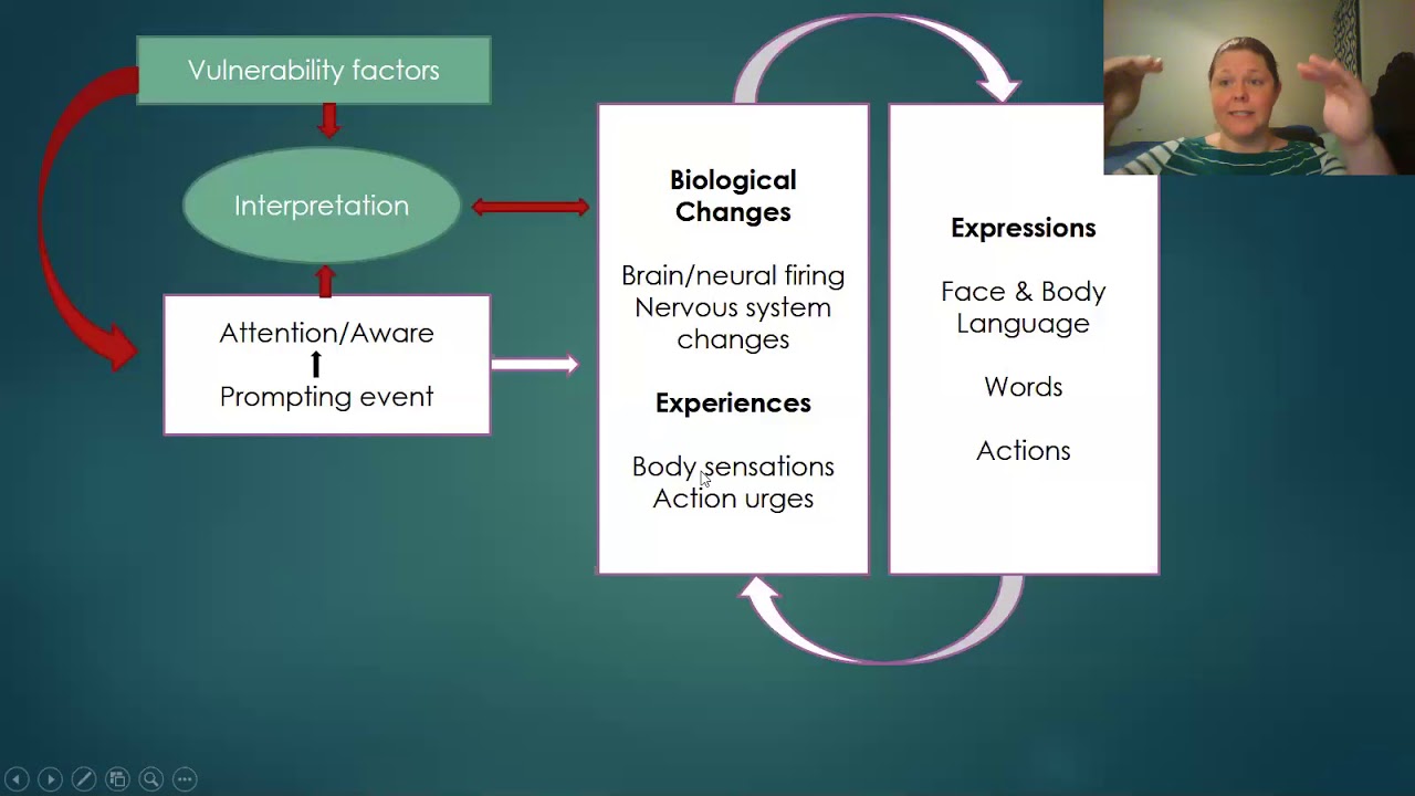 A Model for Describing Emotions