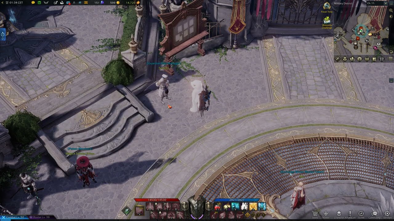 Guardian Raid Manager Seifeltz Location, Lost Ark Vern Castle