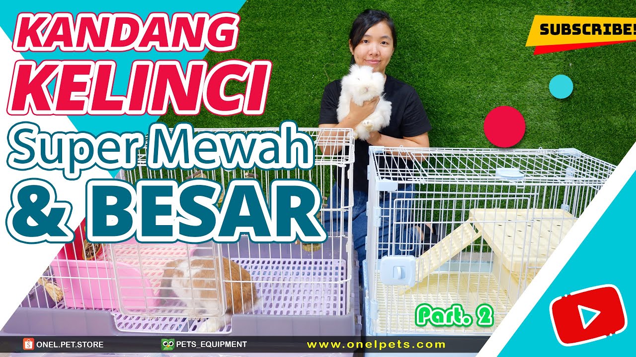 REVIEW MACAM-MACAM KANDANG KELINCI | REKOMENDASI ONEL PETS | Part II