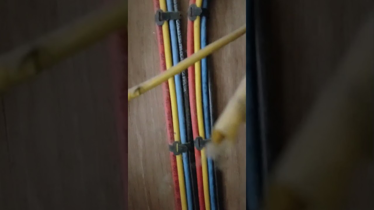 Santacruz West before work video 