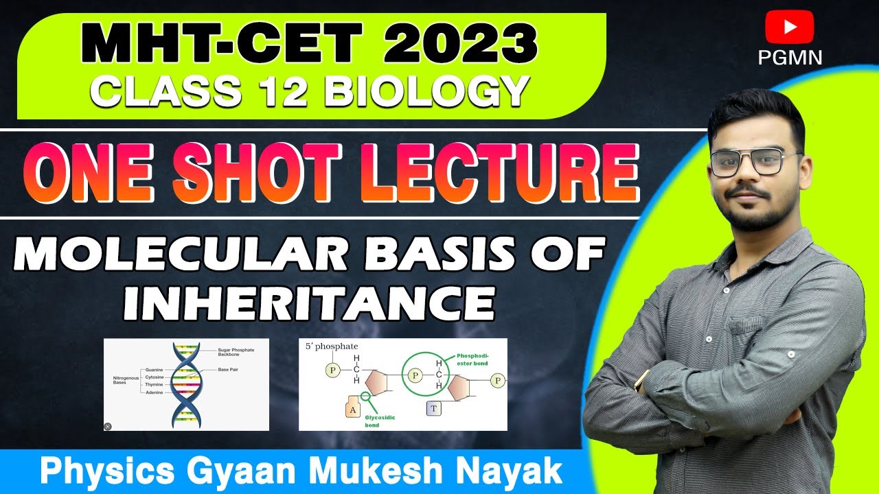 Molecular Basis of Inheritance | MHT CET 2023 | most important points | 12th BIOLOGY