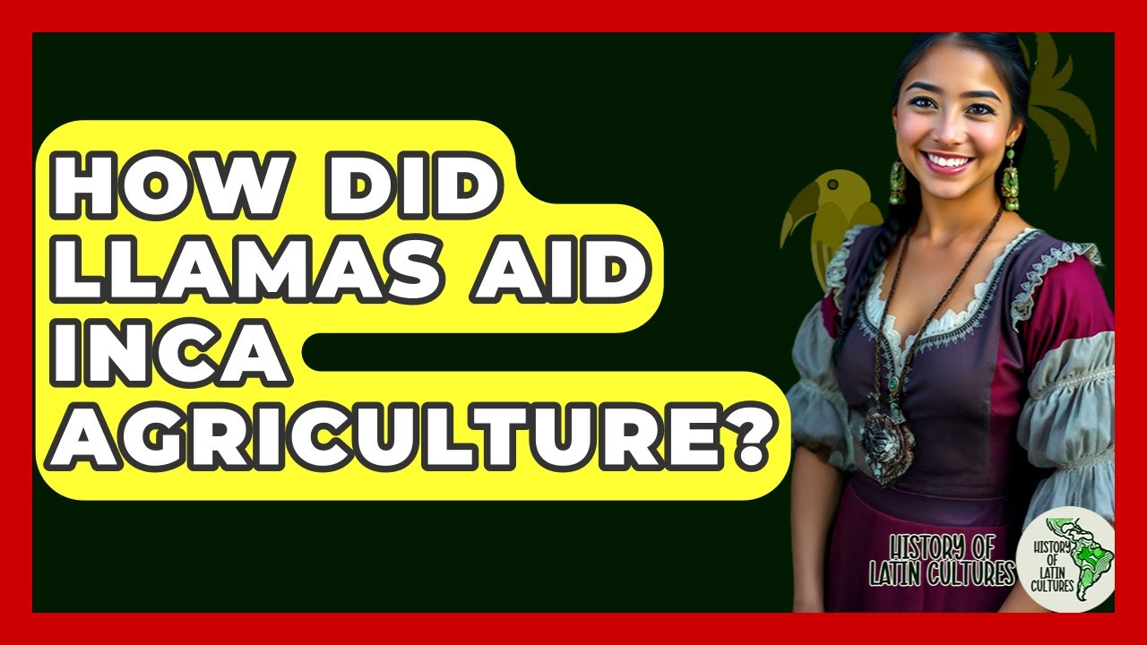 How Did Llamas Aid Inca Agriculture? - History Of Latin Cultures