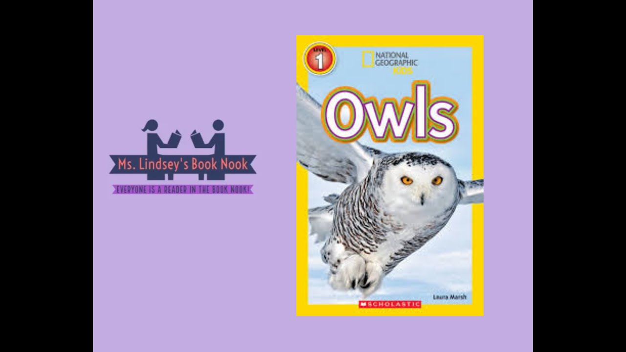 Совы: National Geographic Kids ~ Чтение вслух о совах ~ Совы для детей ~ Время историй о совах ~ ...