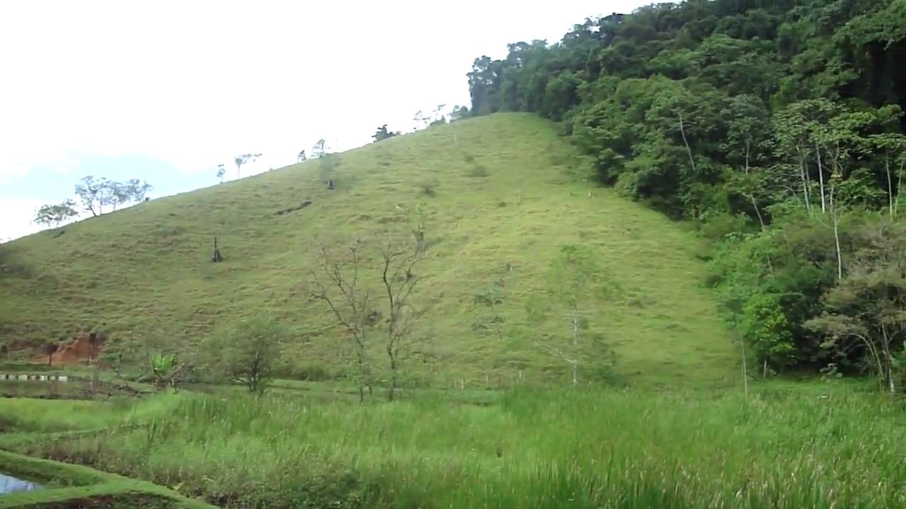 JPTHIMBAHIA  NO BRASIL ( RECANTO DO BAMBÚ ) PARTE 3
