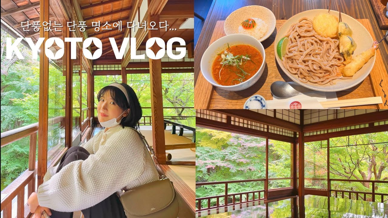 JP)단풍없는 단풍명소 루리코인🍁/교토 카레우동 맛집/ 갑자기 케이블카 타고 엔랴쿠지까지~🚠 /니조성 라이트업 구경🎇