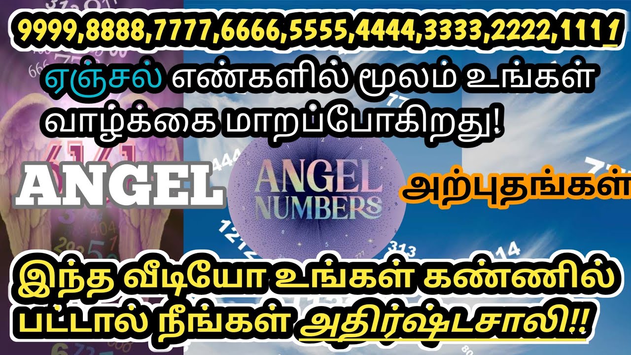 💃 ராஜ யோகம் தரக்கூடிய Angel numbers | அதிர்ஷ்டத்தை அதிகரிக்கும் ஏஞ்சல் எண்கள் | #angel #numerology 