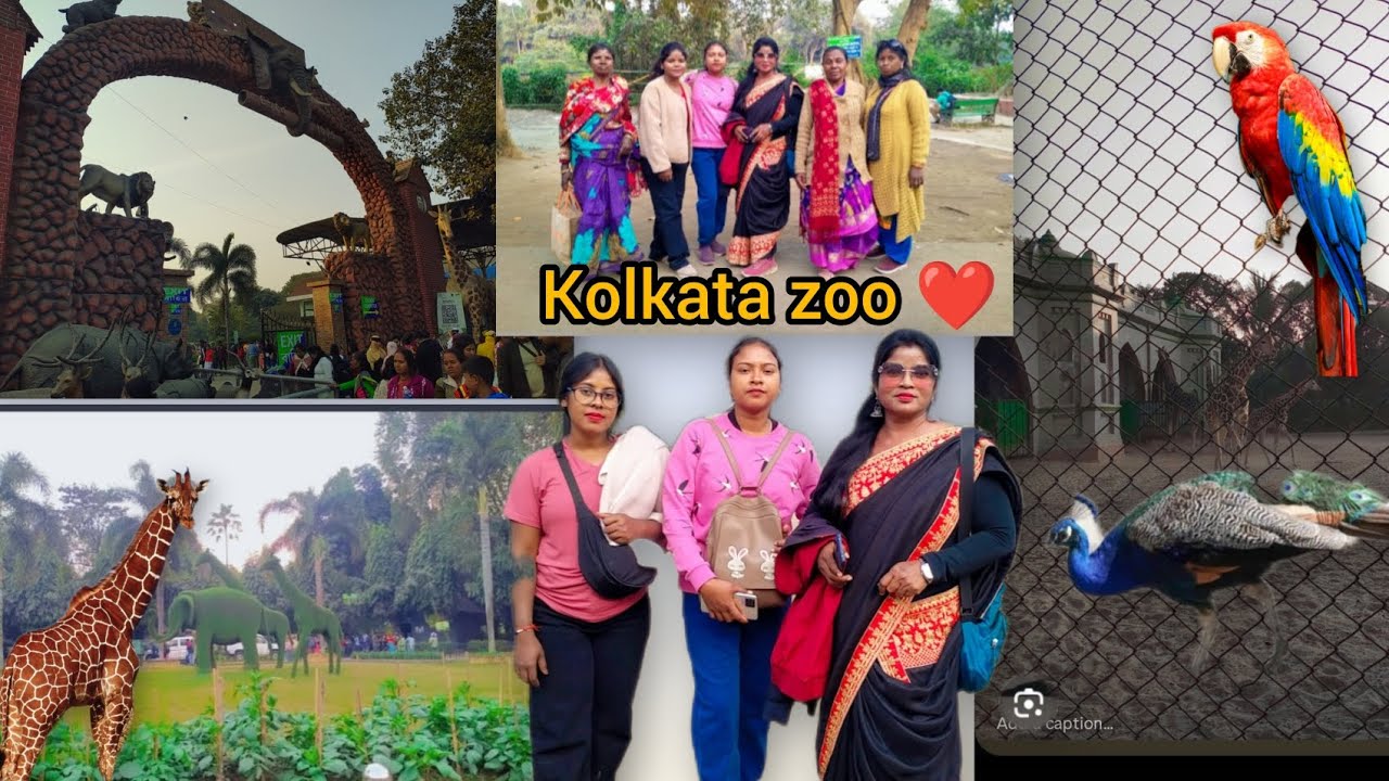 Zoological garden Alipore2026//Kolkata zoo//animals#santalivlog#youtubevlog 