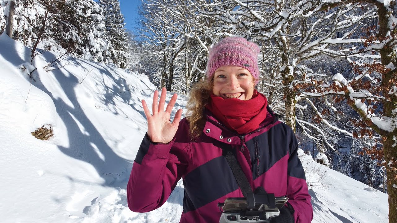 Winter in the Black Forest | Footage from Jan/Feb 2021