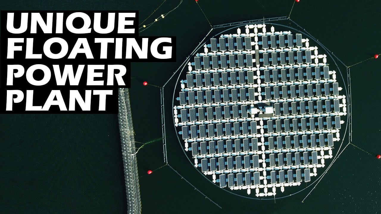 The Dutch have Invented a Unique Floating Solar Farm