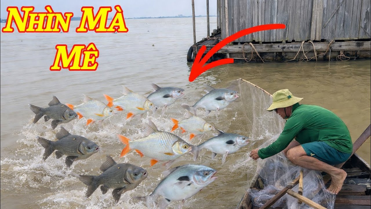 Hôm Nay Dô Mánh Trúng Bầy Cá Lớn Còn Khủng Rồi ..!!