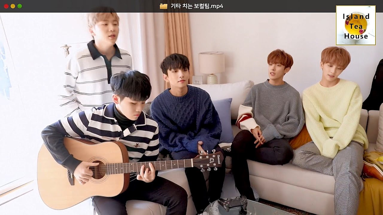 Woozi Playing Instruments: A Compilation