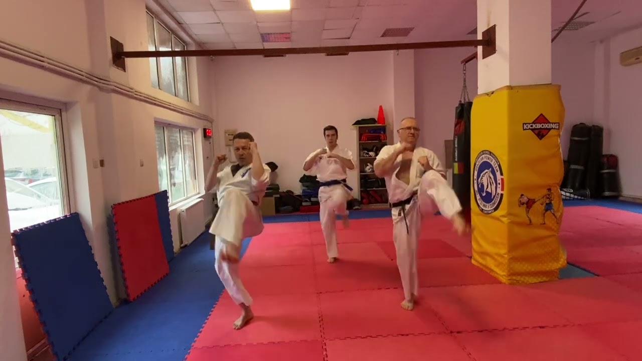 1 000 steps to Black belt- step 29