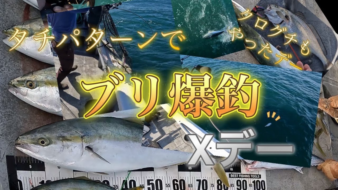 大阪湾でブリとクログチが絶好調クーラー満タン！！