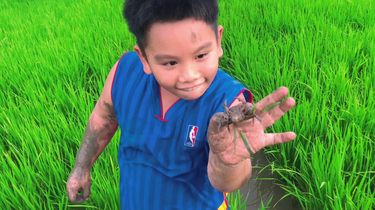 Sinl Vlog 🦀 Bắt Cua Đồng ngoài ruộng bằng tay không