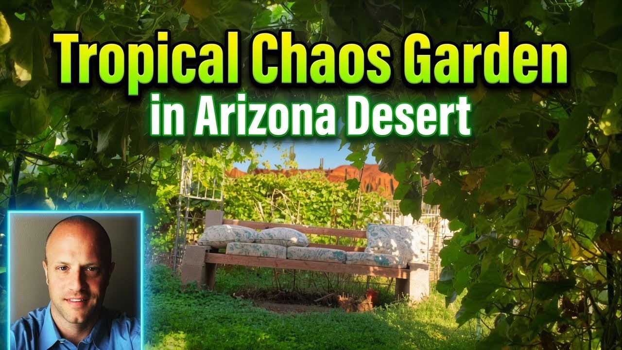 Tropical Chaos Reverse Desertification Garden in the Arizona Desert! Garden Tour!