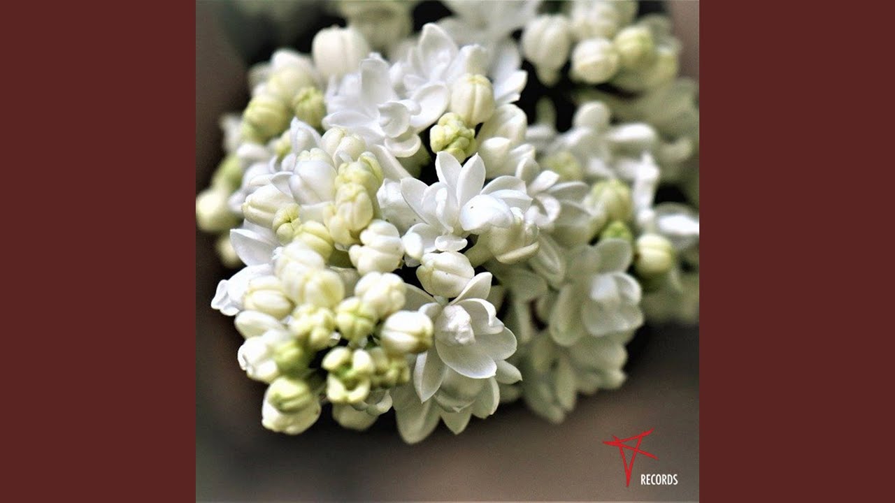 Fiore senza odore