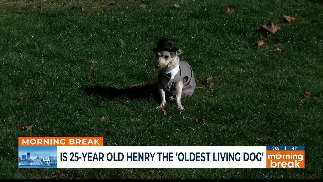 Oldest Living Dog?