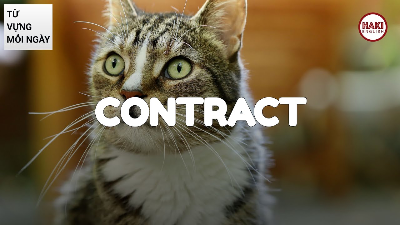CONTRACT | Ph&aacute;t &acirc;m - Giải nghĩa - V&iacute; dụ | Từ vựng tiếng Anh